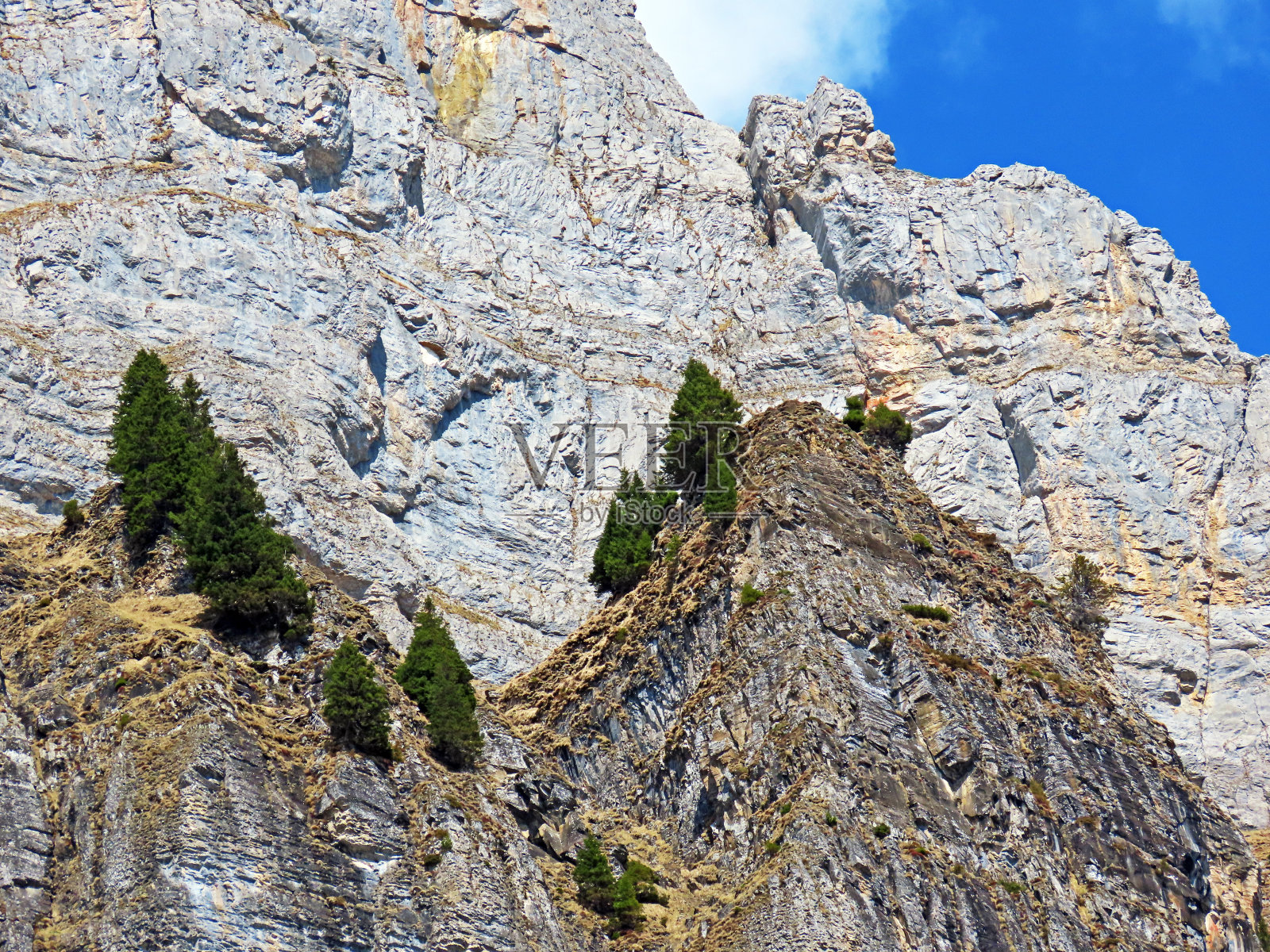 瑞士圣加伦州瓦伦施塔特堡(瑞士)的坎顿圣加伦(坎顿圣加伦)。照片摄影图片