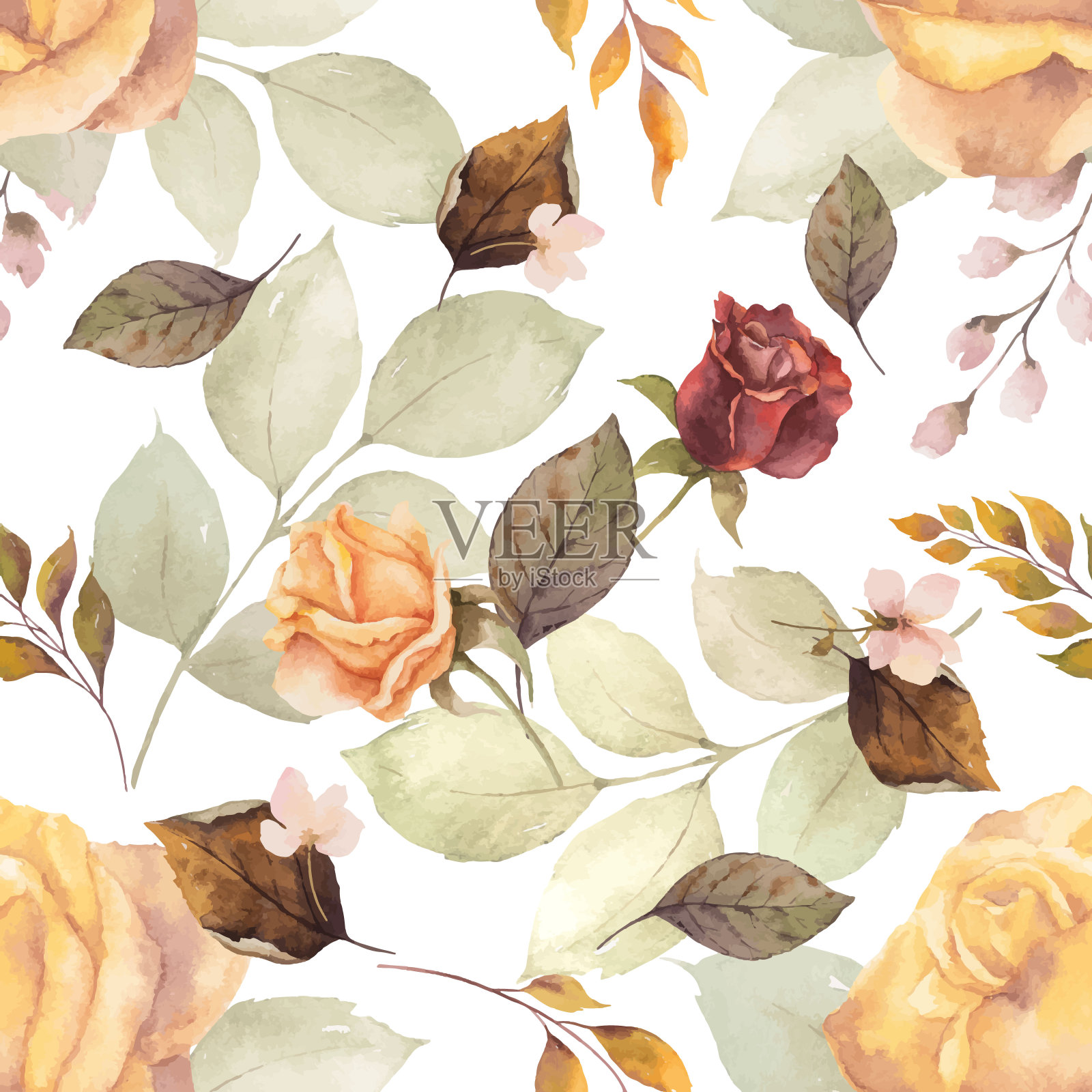 水彩向量秋天无缝模式与落叶孤立在白色的背景。植物组成的贺卡,婚礼请柬,花卉海报和装饰。插画图片素材