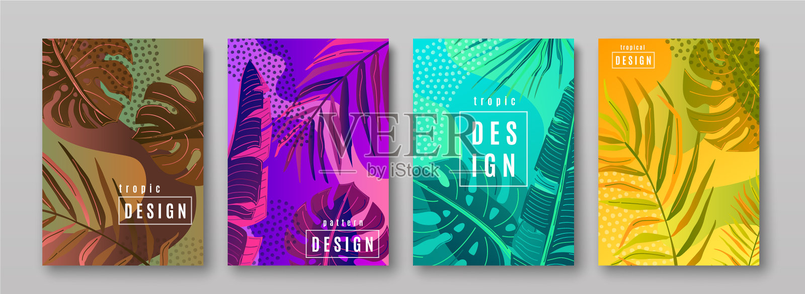 热带模式集热带收集插画图片素材