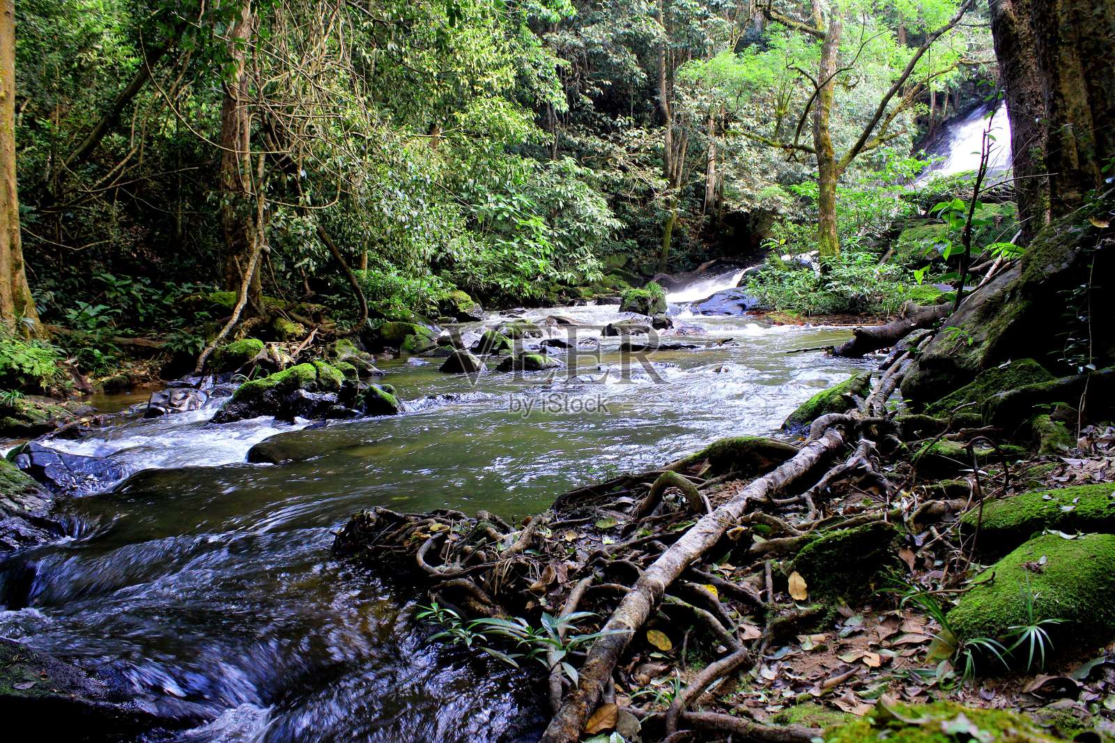Pha Dok Xu 瀑布, Mae Klang Luang 村, Doi Inthanon Nat照片摄影图片