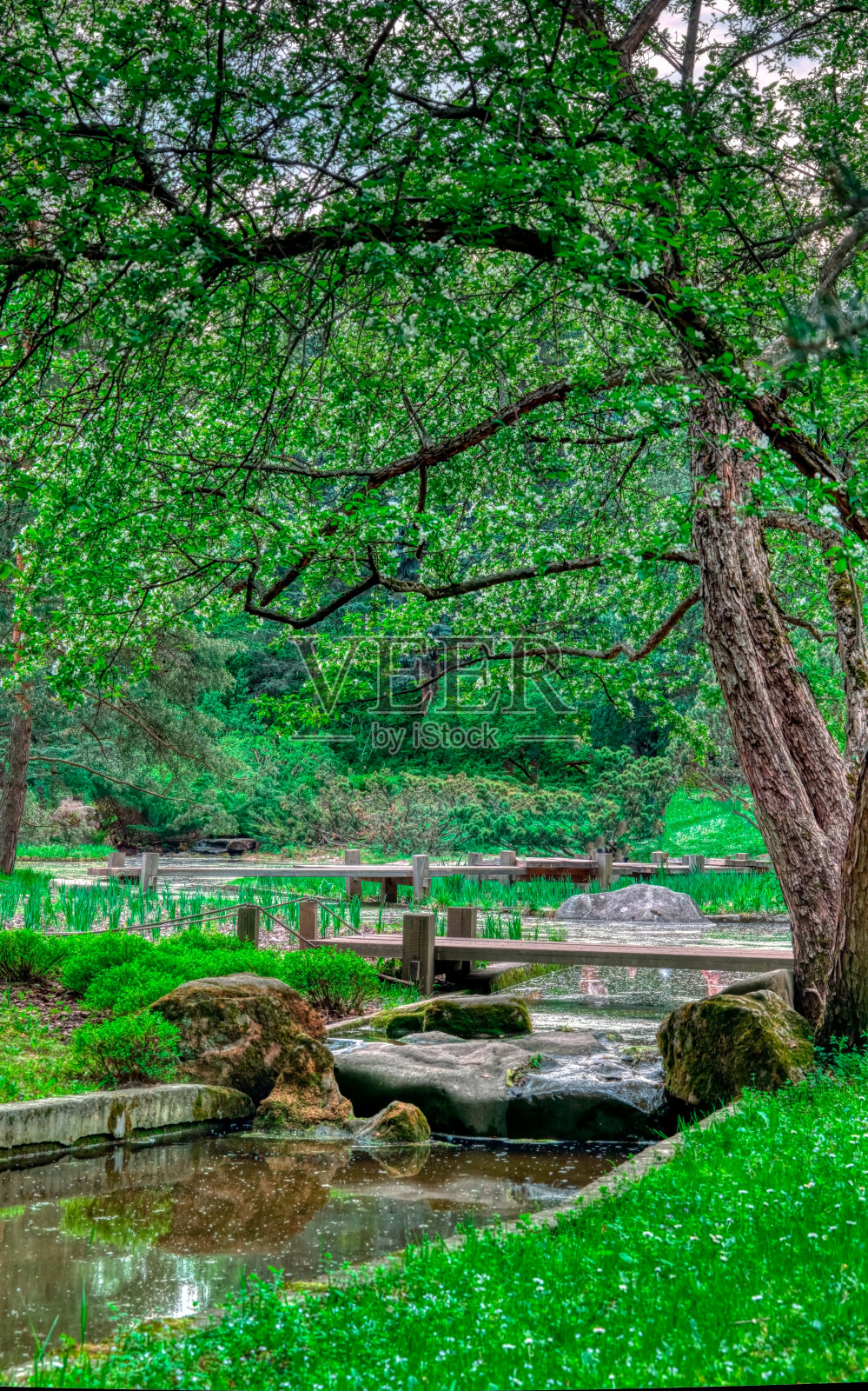 在一个多云的夏天,河边美丽的小瀑布被绿草环绕照片摄影图片