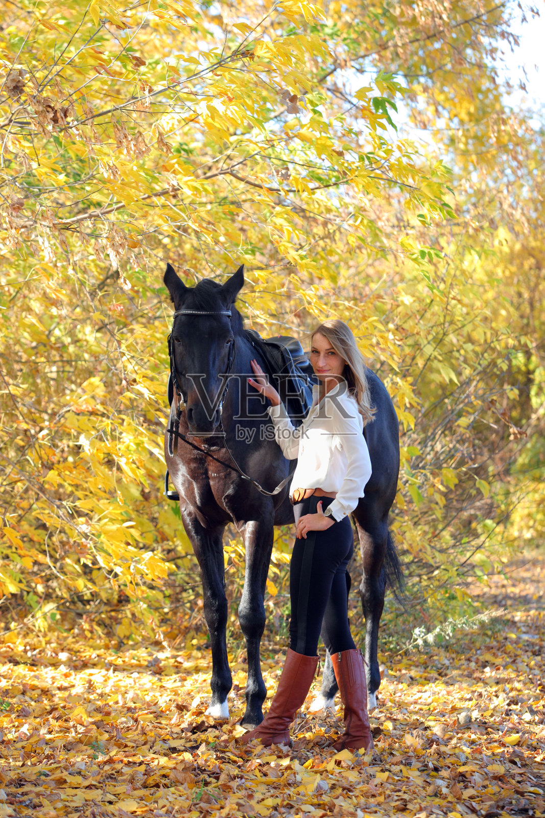秋天的黄树林里,马和骑马的模特女孩照片摄影图片