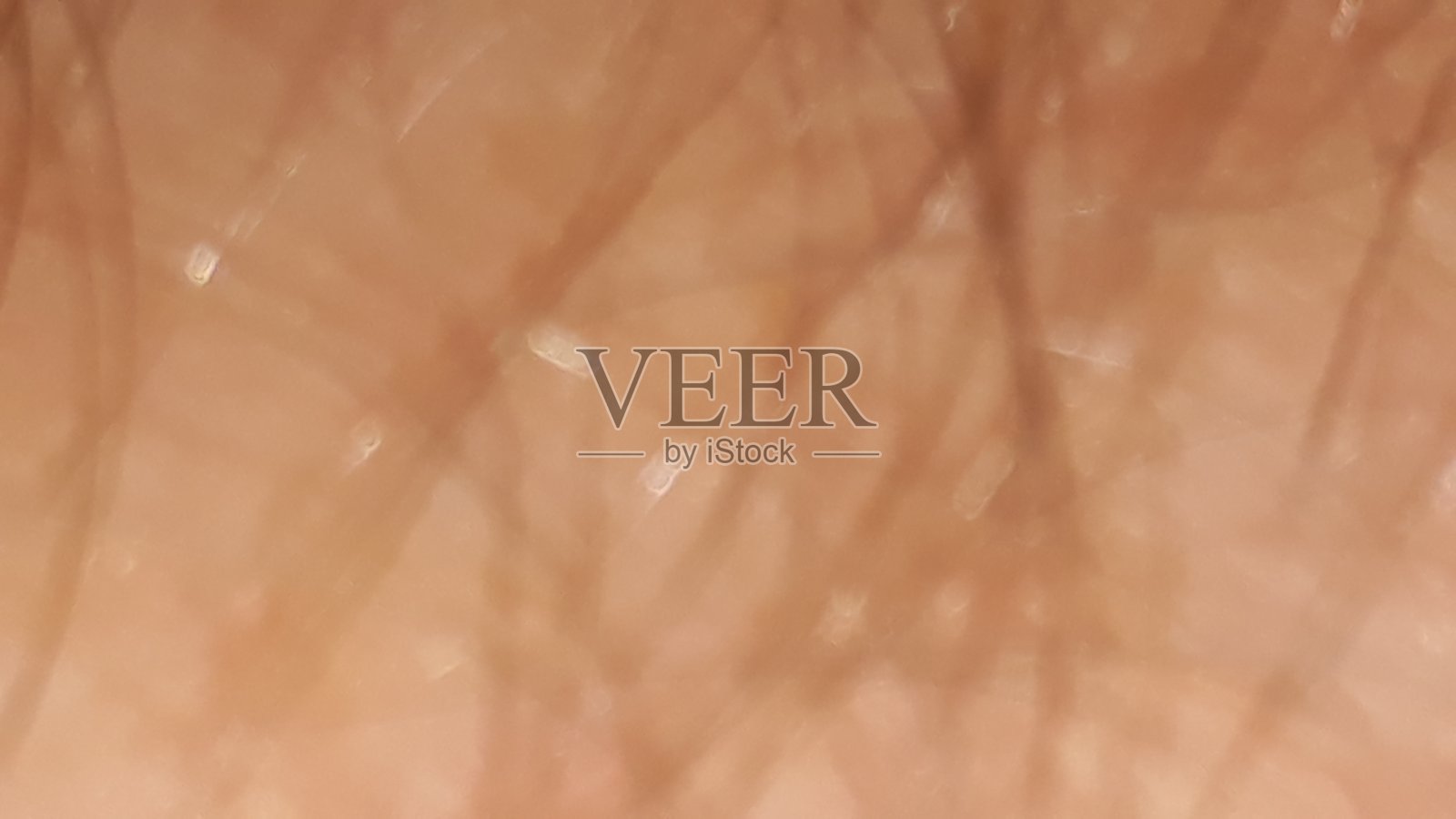 人的皮肤和头发照片摄影图片