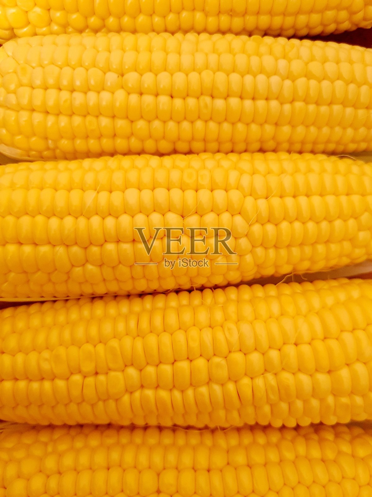 倒置的玉米照片摄影图片