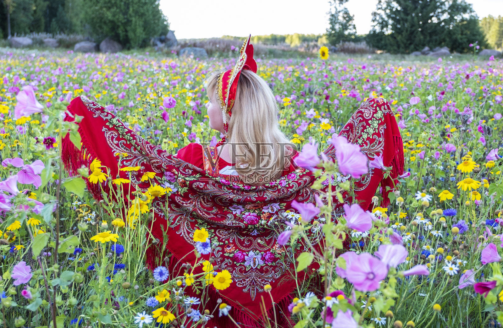 年轻的白人女性。他用手拿着披肩。俄罗斯和乌克兰的传统民族服装,红色背心裙和卡柯史尼克。以长满野花的草地为背景。后视图。照片摄影图片