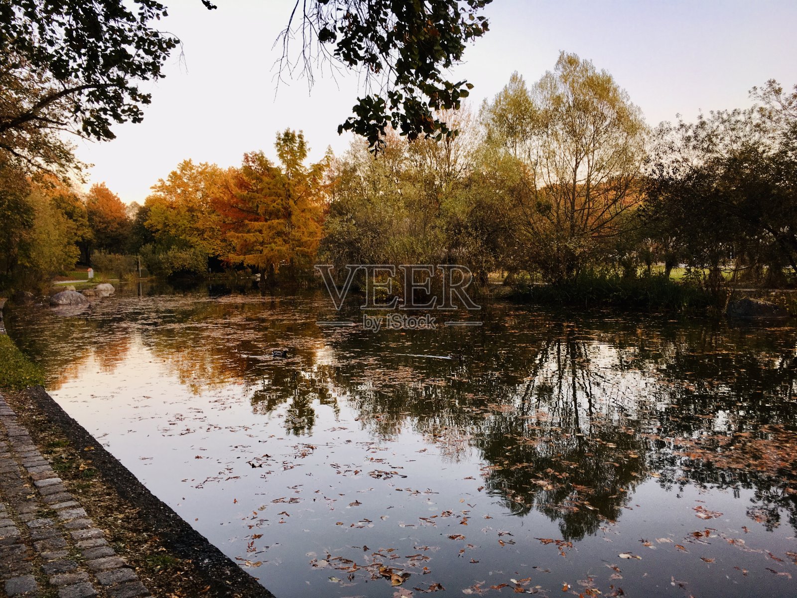 慕尼黑西公园的湖在秋天的日落照片摄影图片
