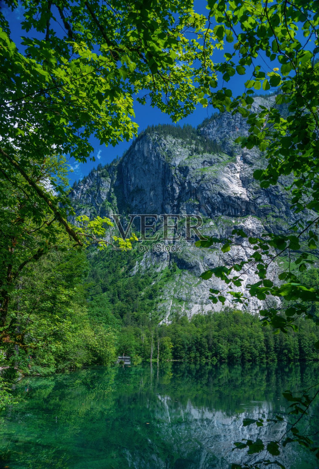 巴伐利亚贝希特斯加登的奥伯湖照片摄影图片