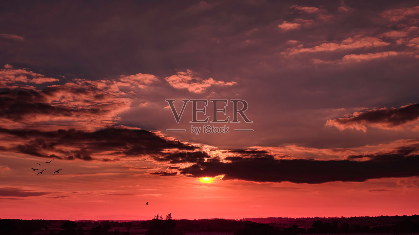 照片到画布,版画和墙壁艺术设计照片摄影图片