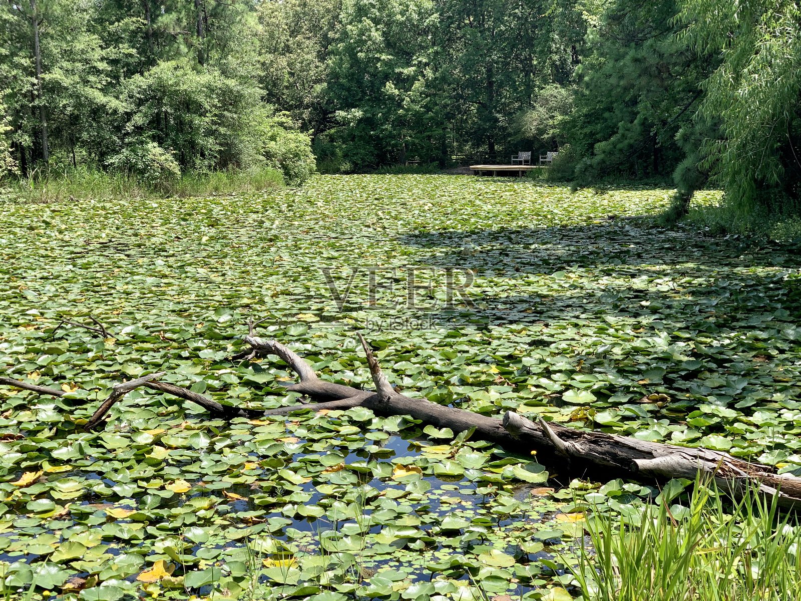户外照片摄影图片