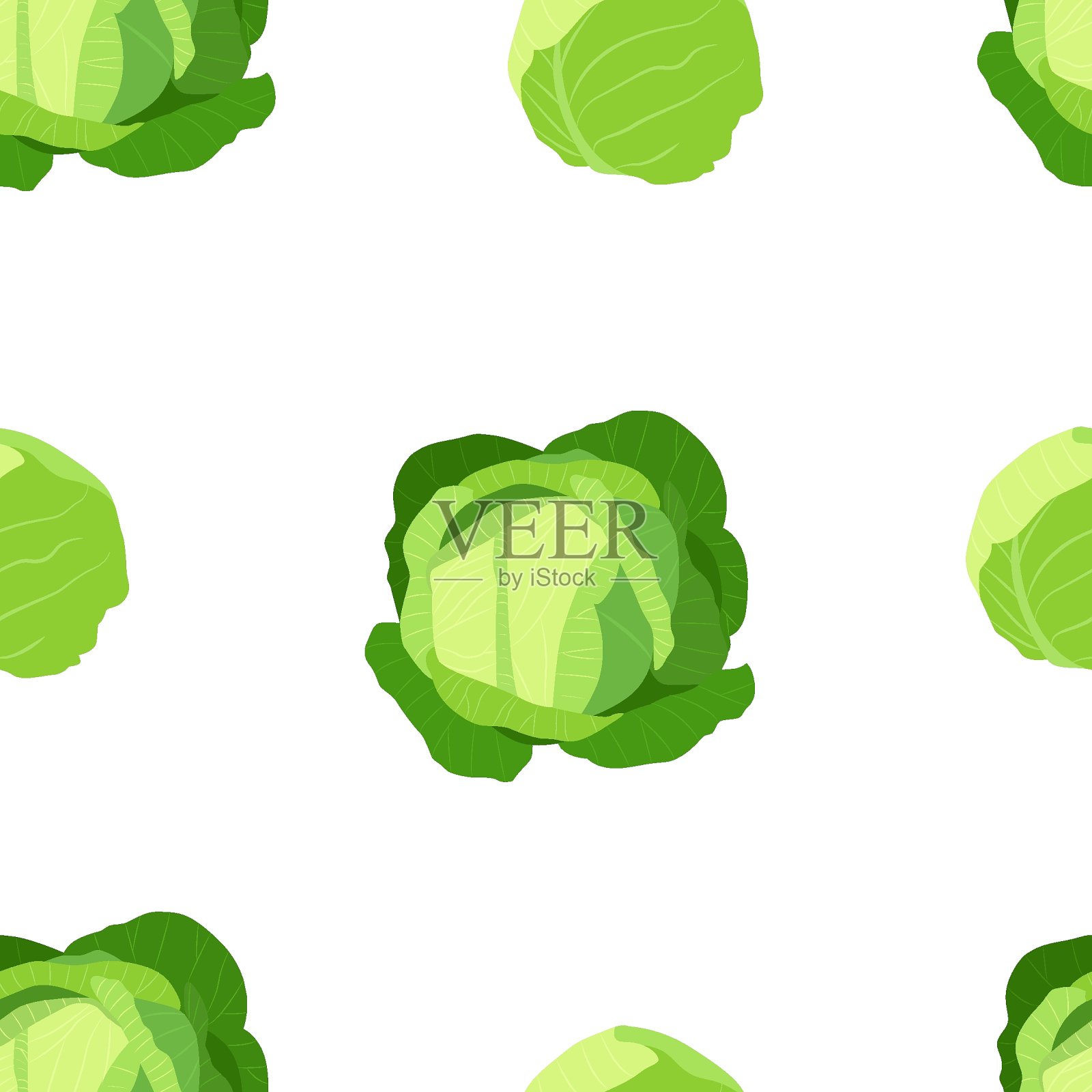 卷心菜插画图片素材