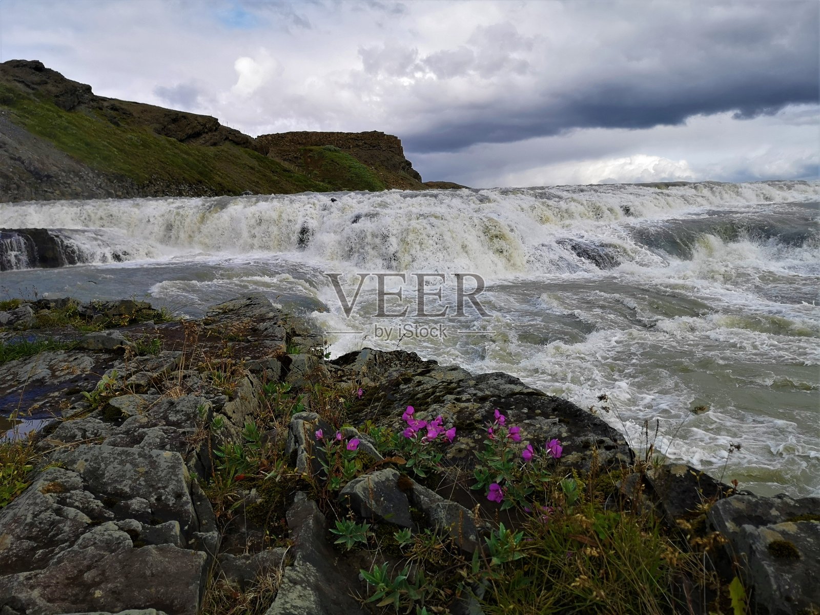 冰岛的风景-湾鸟照片摄影图片