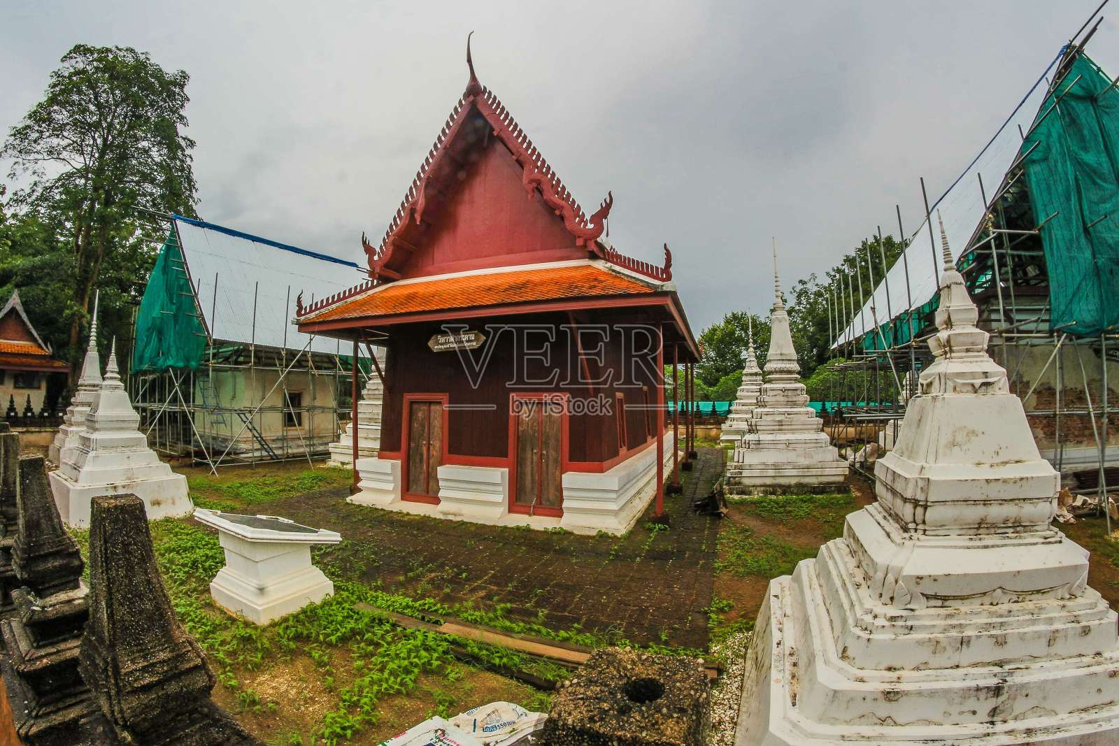 泰锡,来吧照片摄影图片