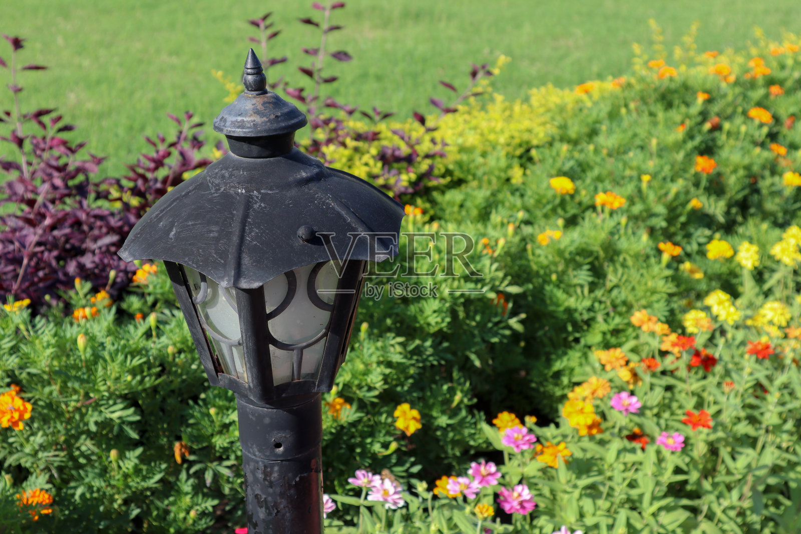 美丽的灯柱在花园里,五颜六色的花朵。照片摄影图片