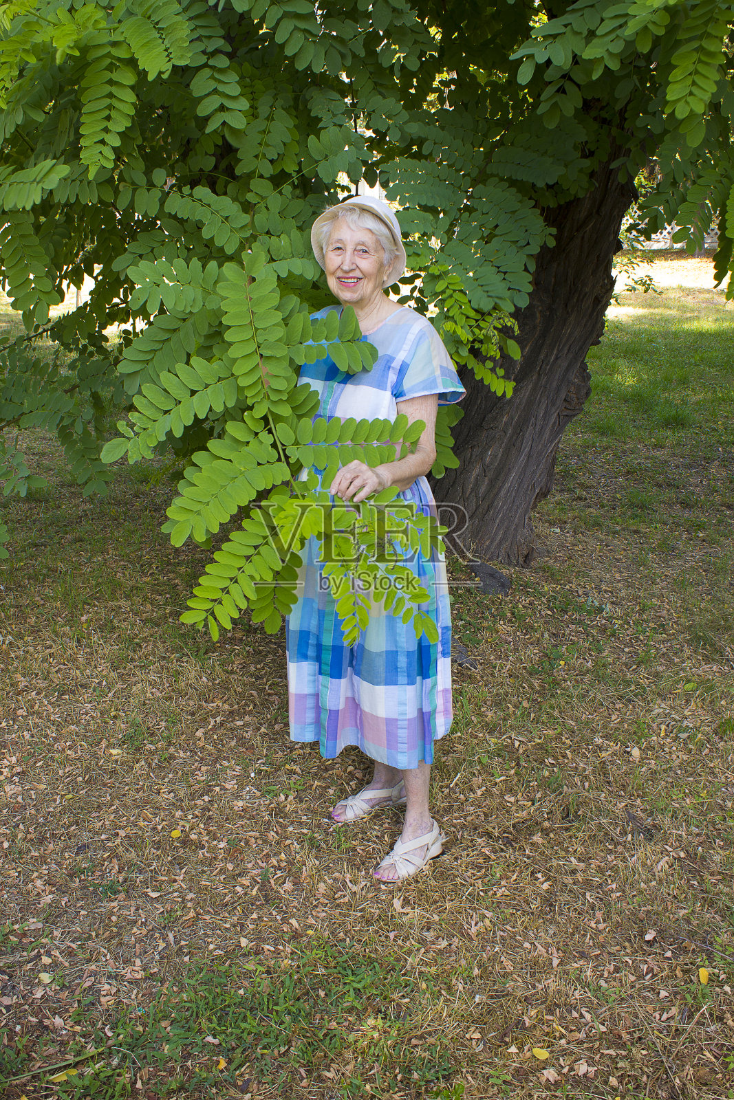 一个微笑的老妇人的肖像。一张以自然为背景的照片照片摄影图片