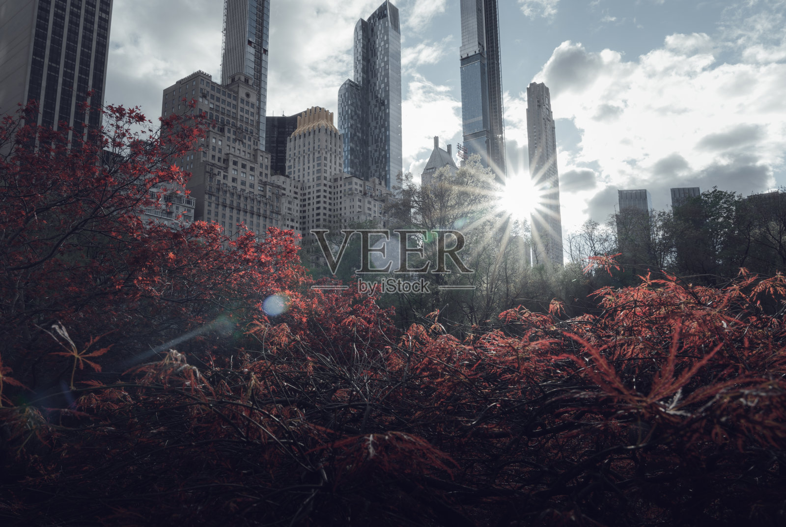 纽约中央公园日落照片摄影图片