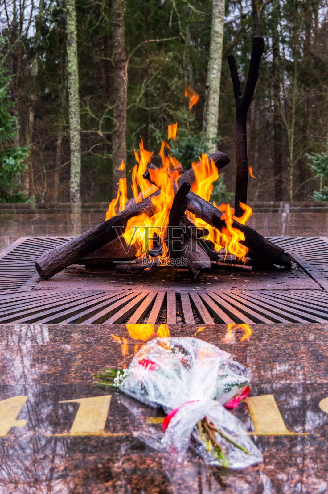 鲜花躺在永恒的火旁,以篝火的形式。阴天里,布良斯克地区游击林间空地上的纪念碑照片摄影图片
