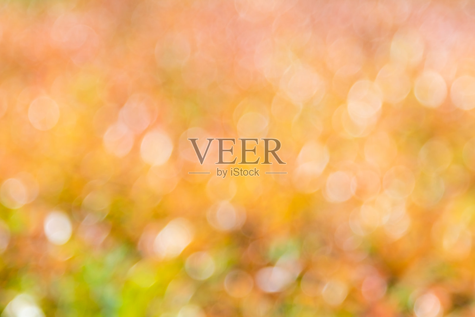 散景背景,自然光照片摄影图片