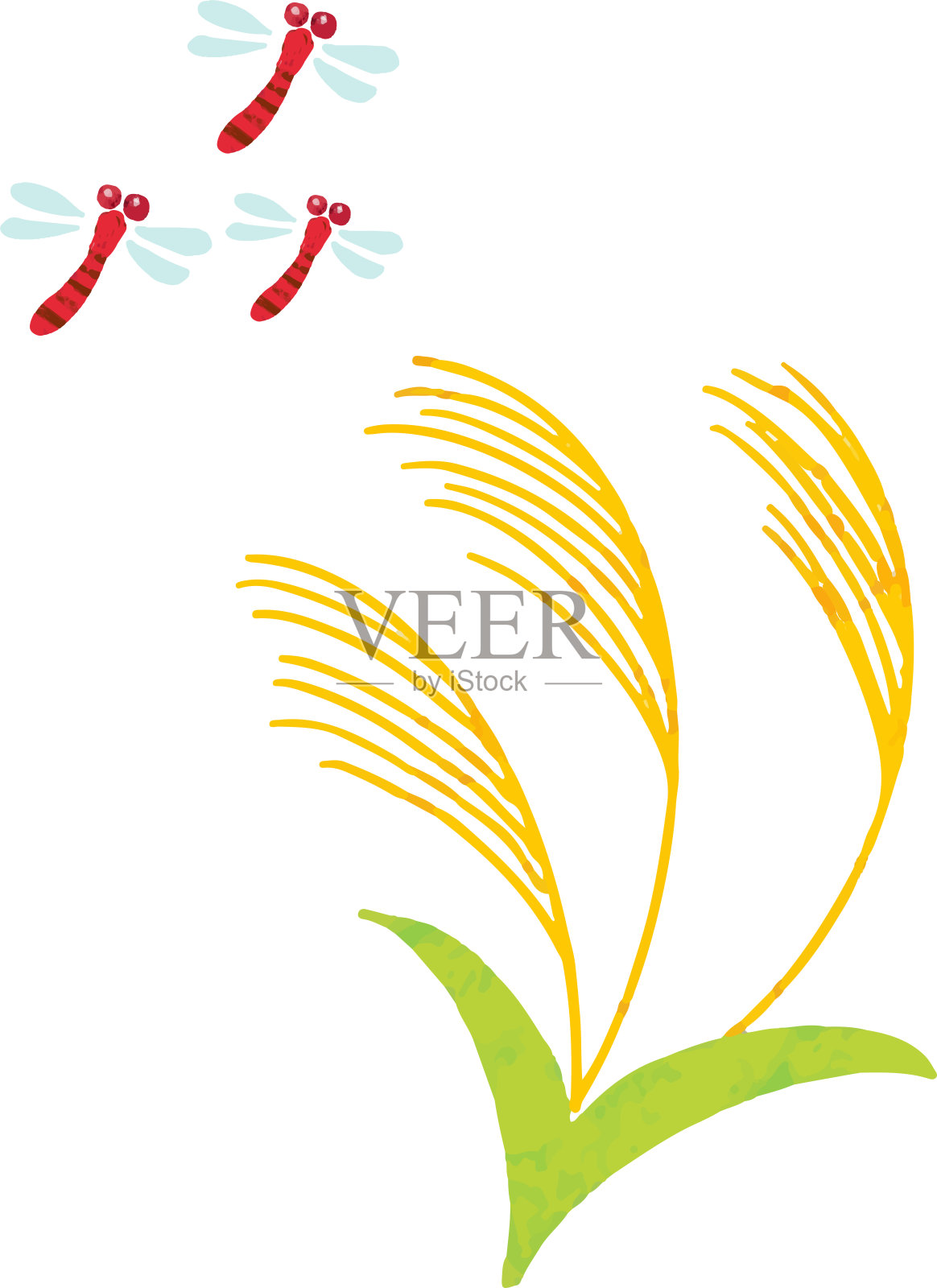 苏木和红蜻蜓插画图片素材