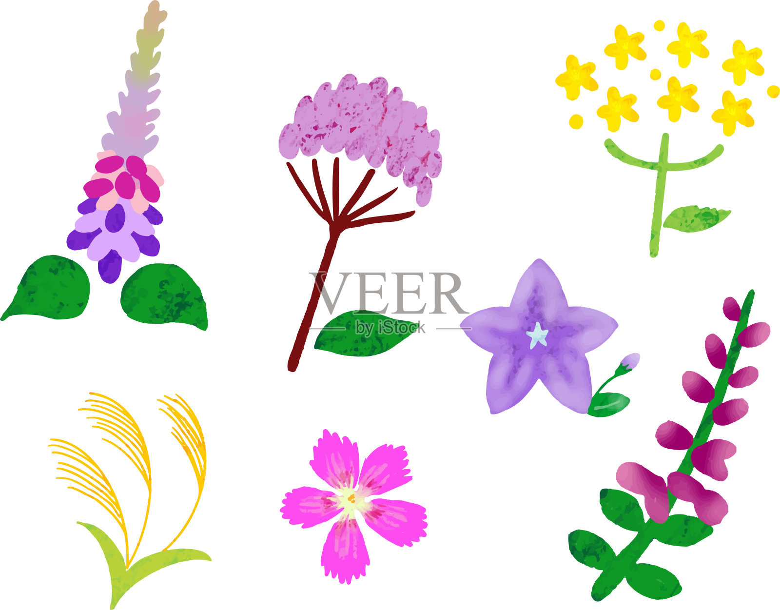 秋七草图标集插画图片素材