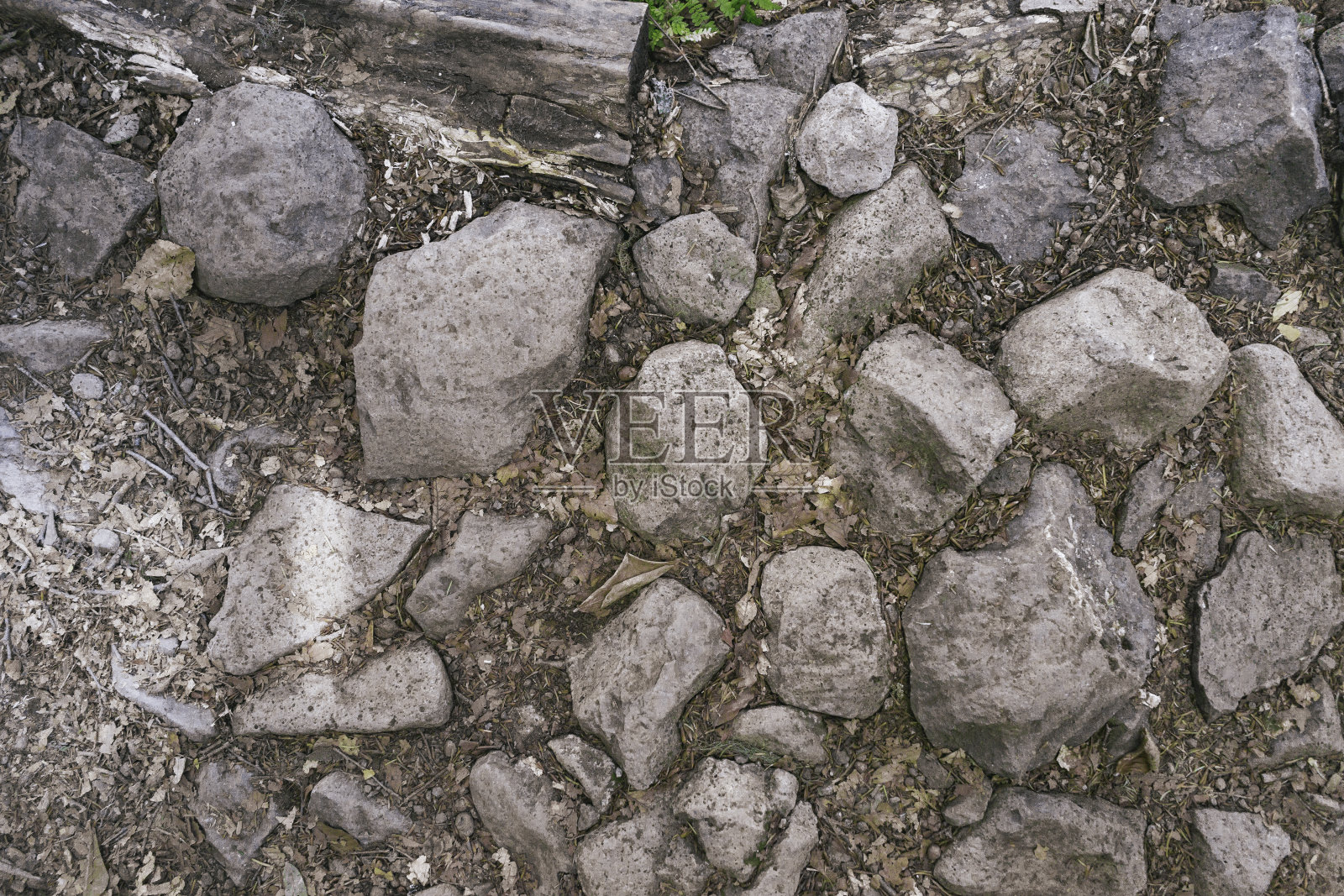 山中的森林景观。野外旅行,户外探险,野营旅行。照片摄影图片