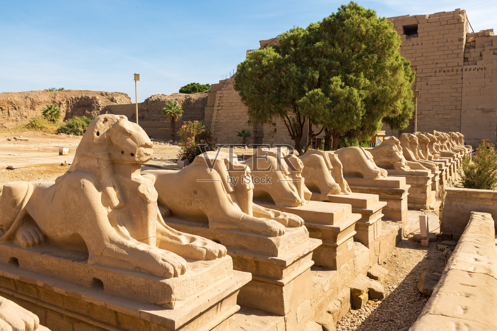 卡纳克神庙:卢克索尼罗河谷的古埃及巨型雕塑,墙上刻有浮雕象形文字照片摄影图片