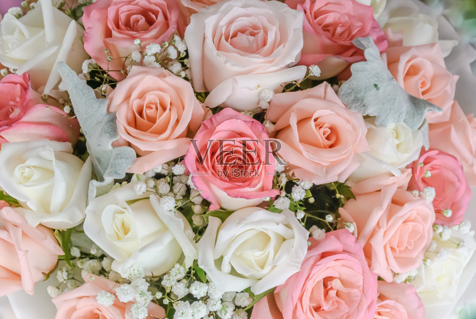 完整框架的玫瑰花束照片摄影图片