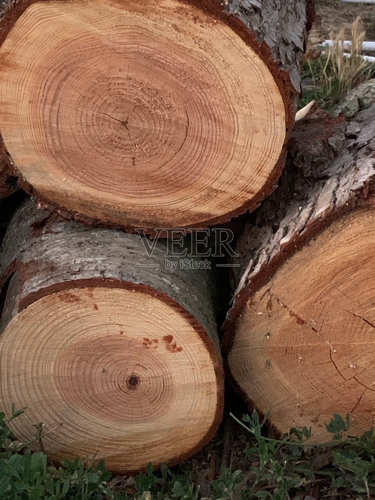 轮照片摄影图片