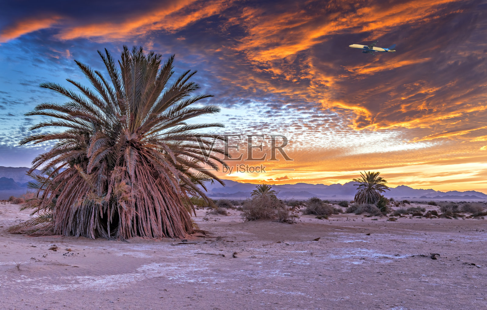 萨凡纳山谷和沙漠,中东照片摄影图片