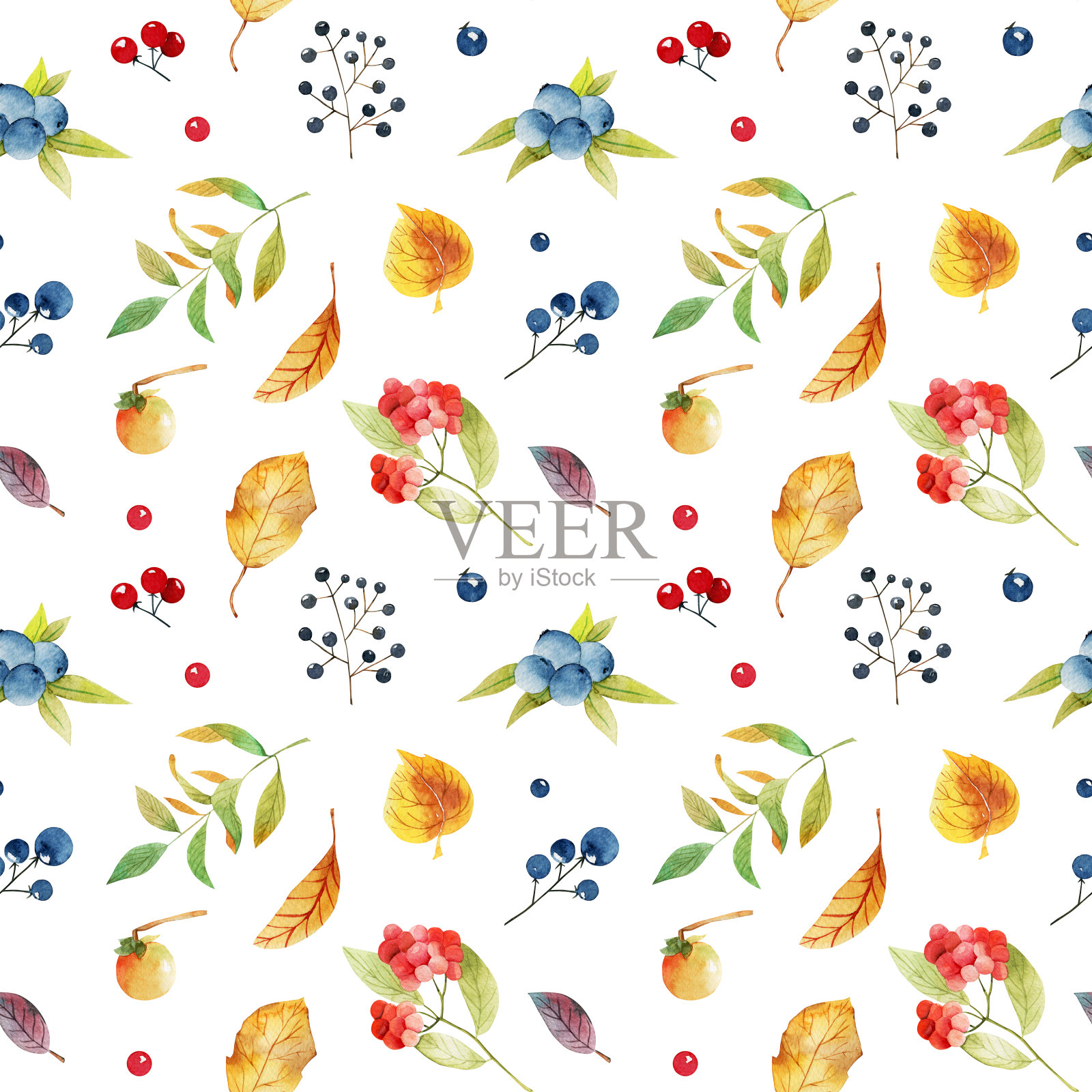 无缝图案的水彩秋叶和森林浆果;白色背景上的手绘插图插画图片素材