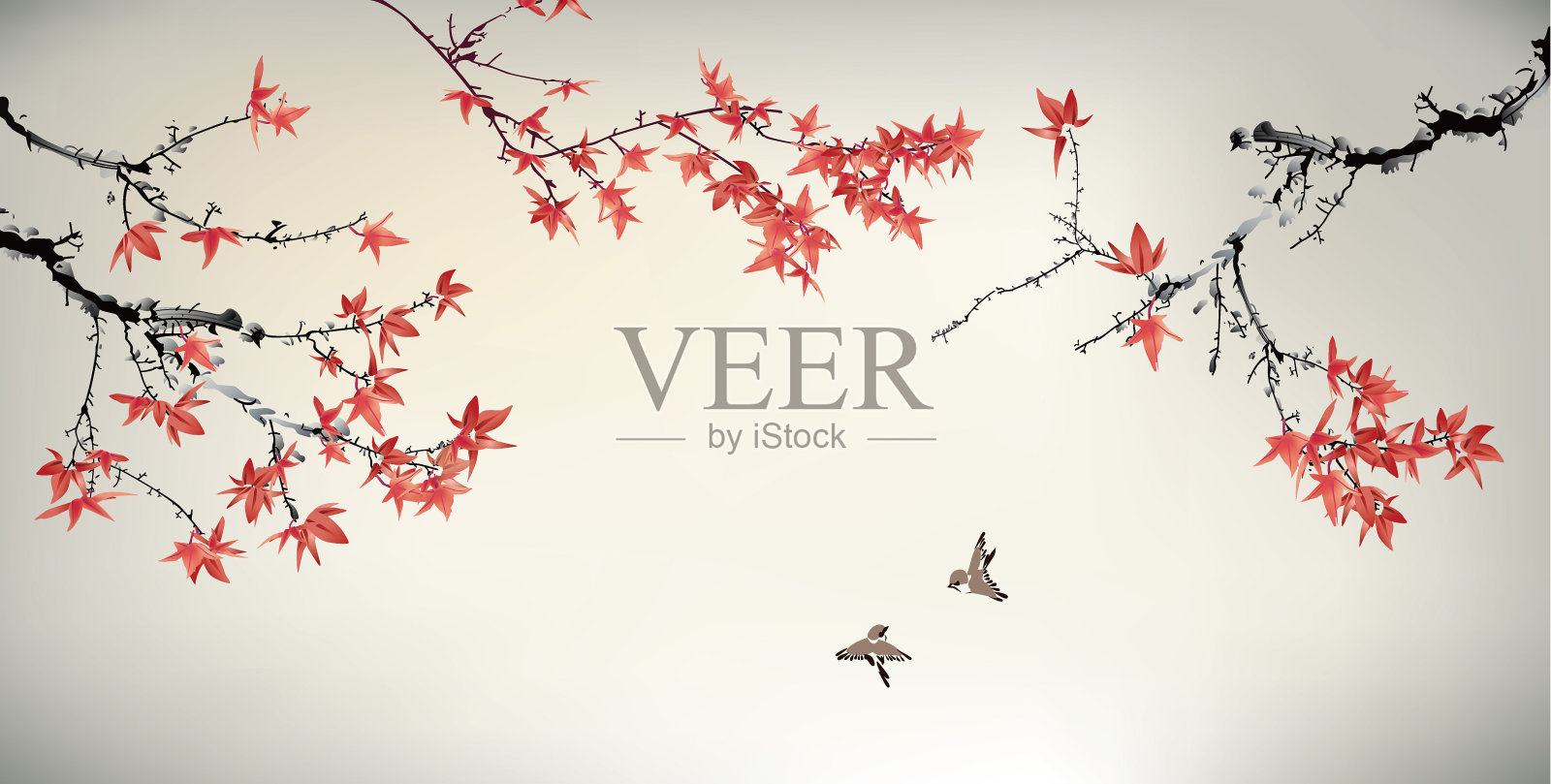 中国画的枫树和鸟插画图片素材