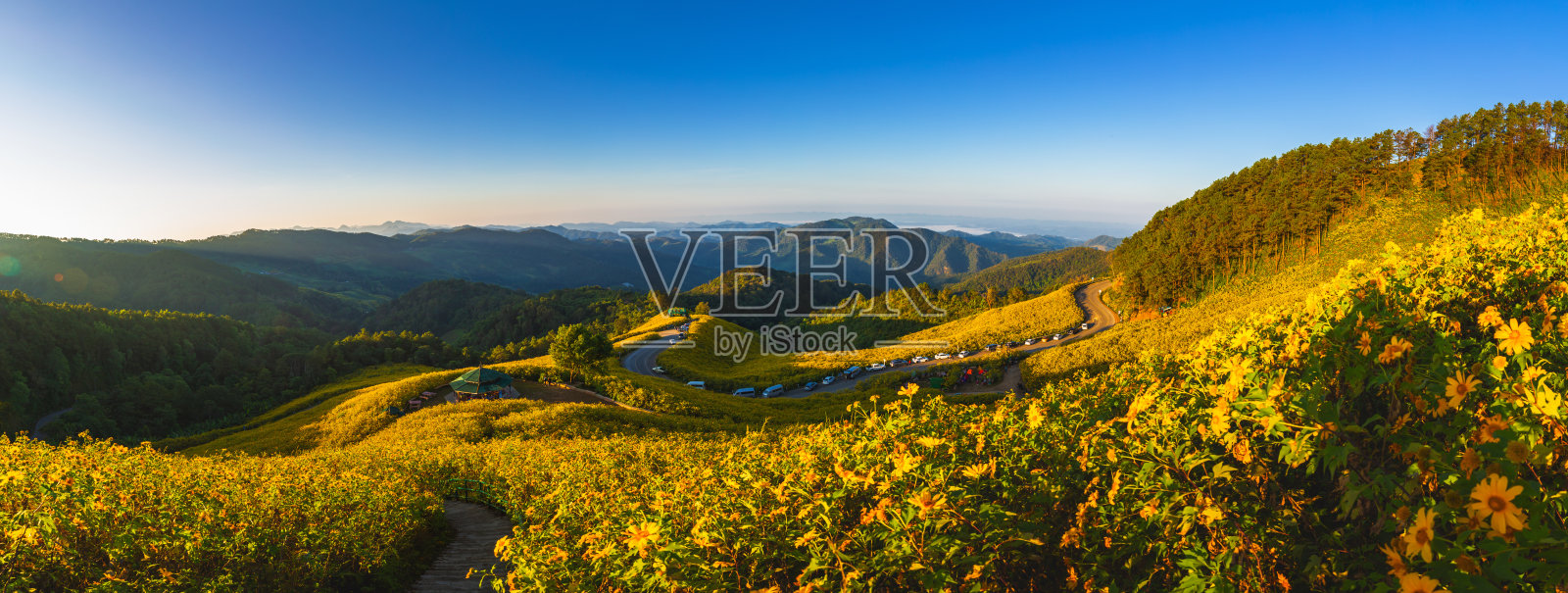 泰国Mae Hong Son东布塘森林公园的日出全景照片摄影图片