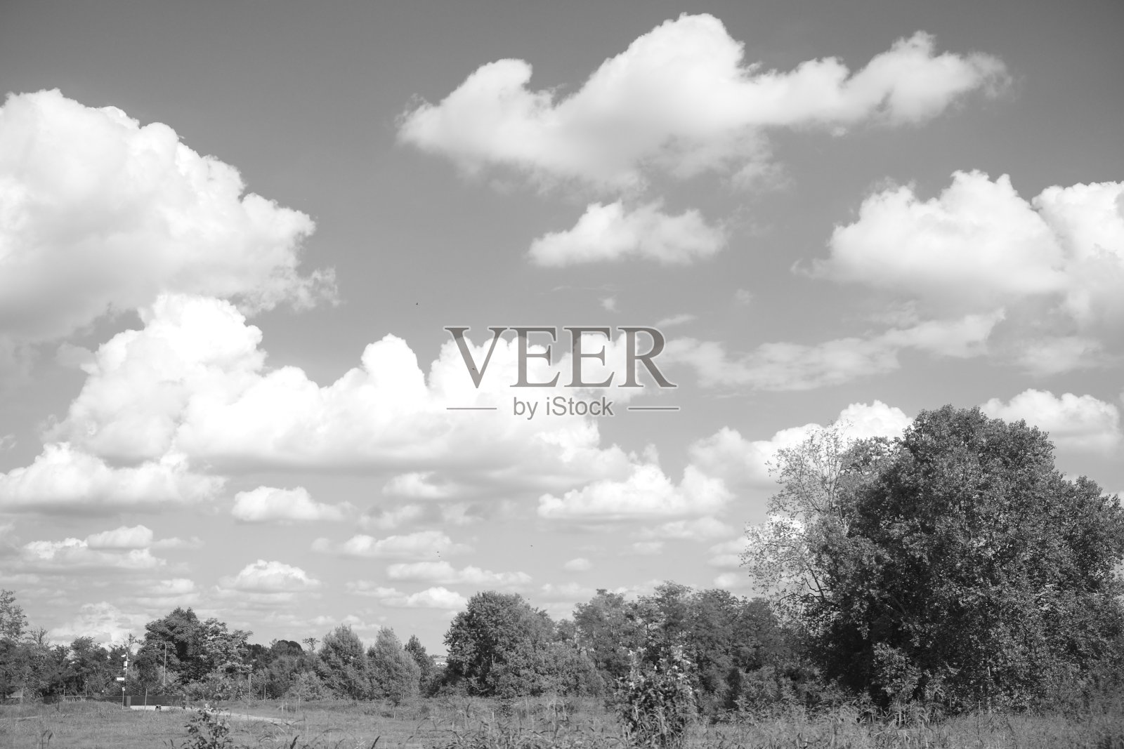 农村的场景照片摄影图片