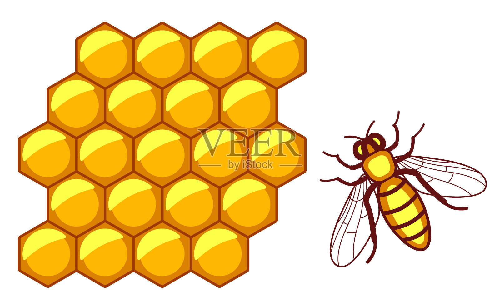蜜蜂和蜂窝插画图片素材