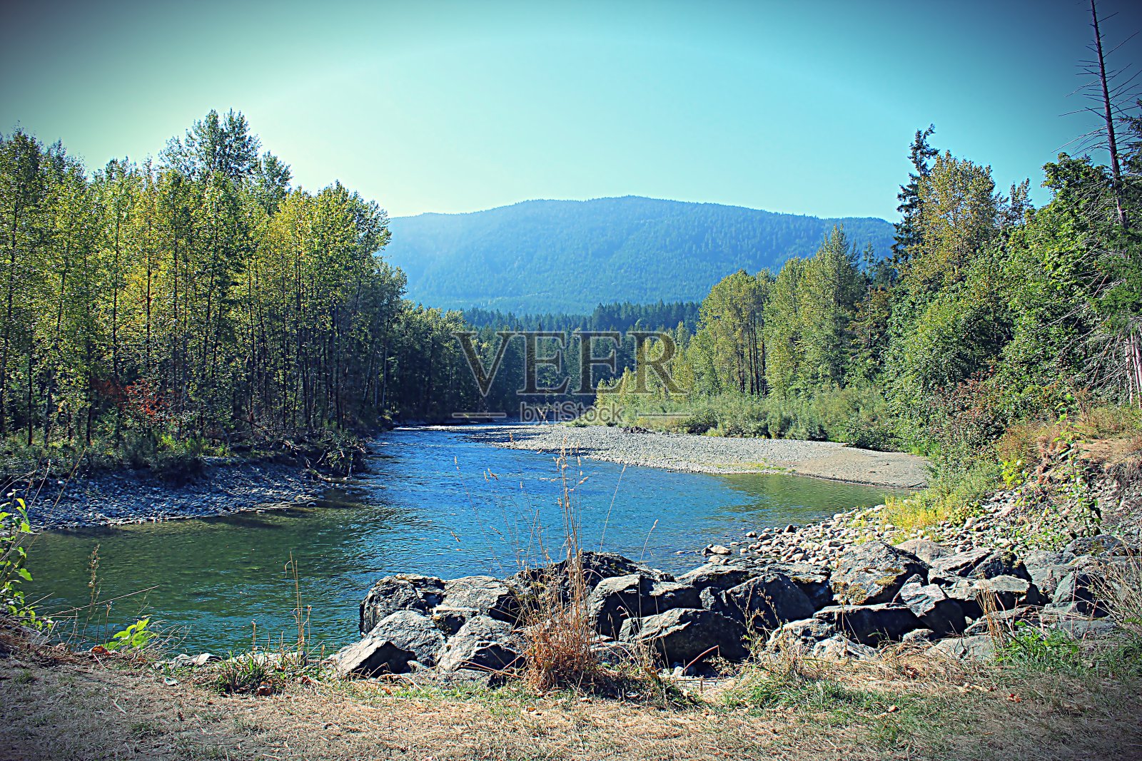 Cowichan河照片摄影图片