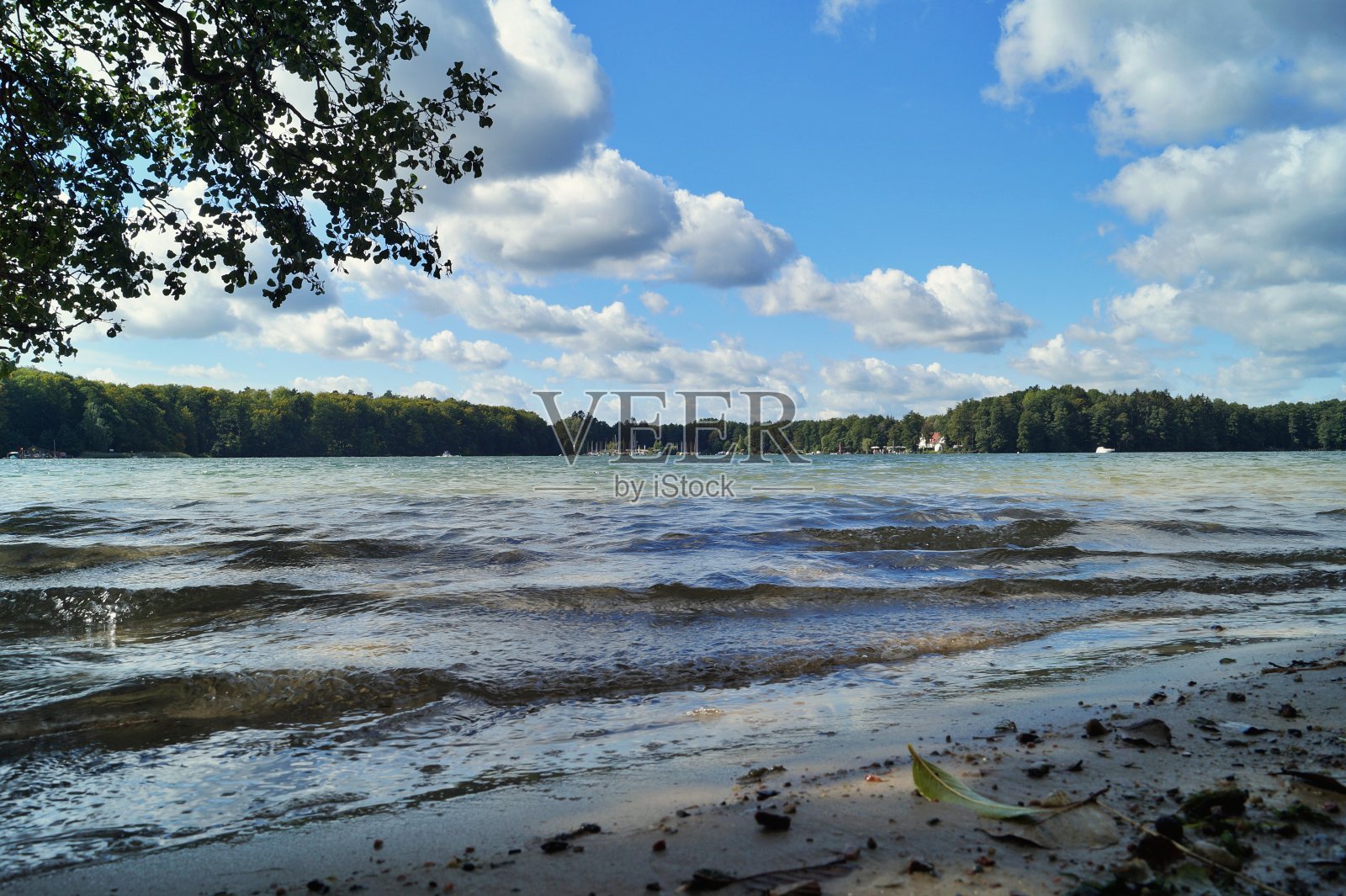 在Werbellinsee湖照片摄影图片