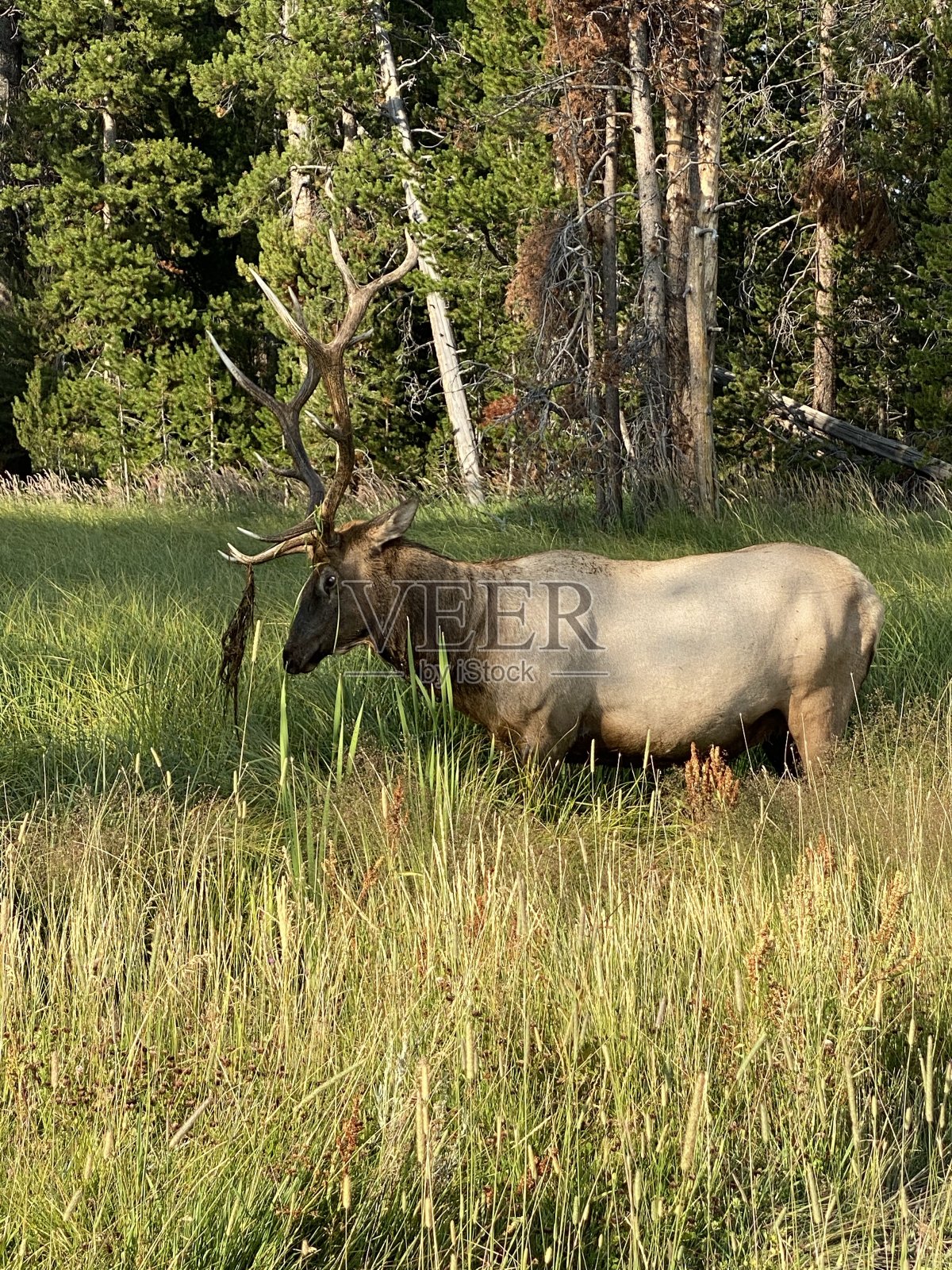 12点照片摄影图片