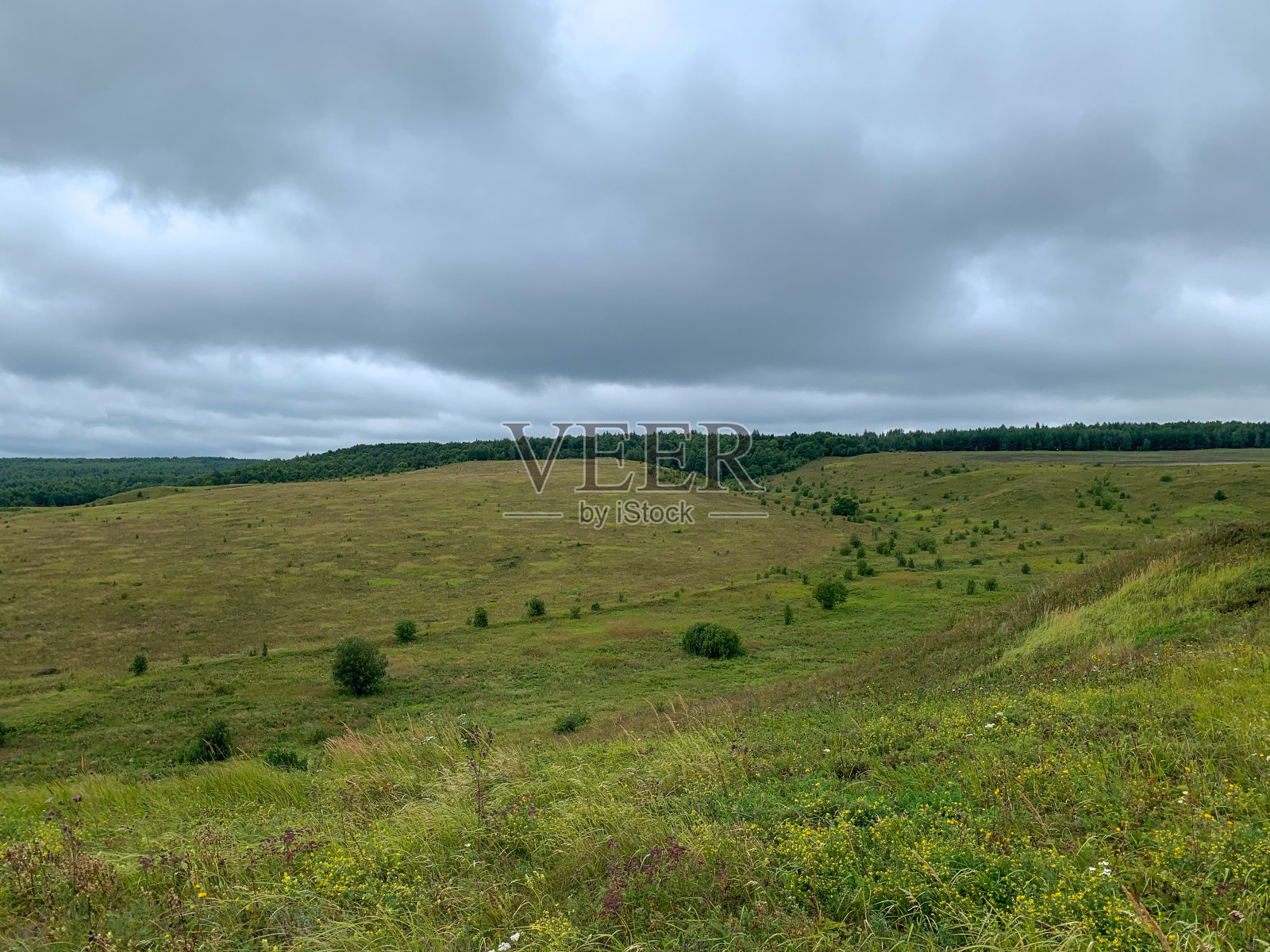 多云天气中以森林为背景的丘陵地。天空中有灰色的云。一片草地。照片摄影图片
