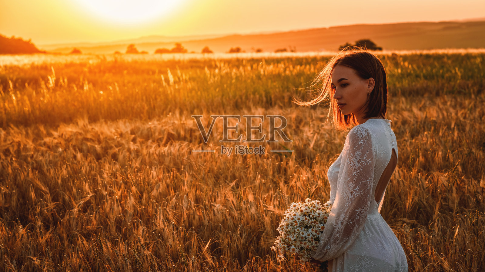 夕阳西下的麦田里,身着白裙手持一束鲜花的美丽女子。自由生活方式的概念照片摄影图片