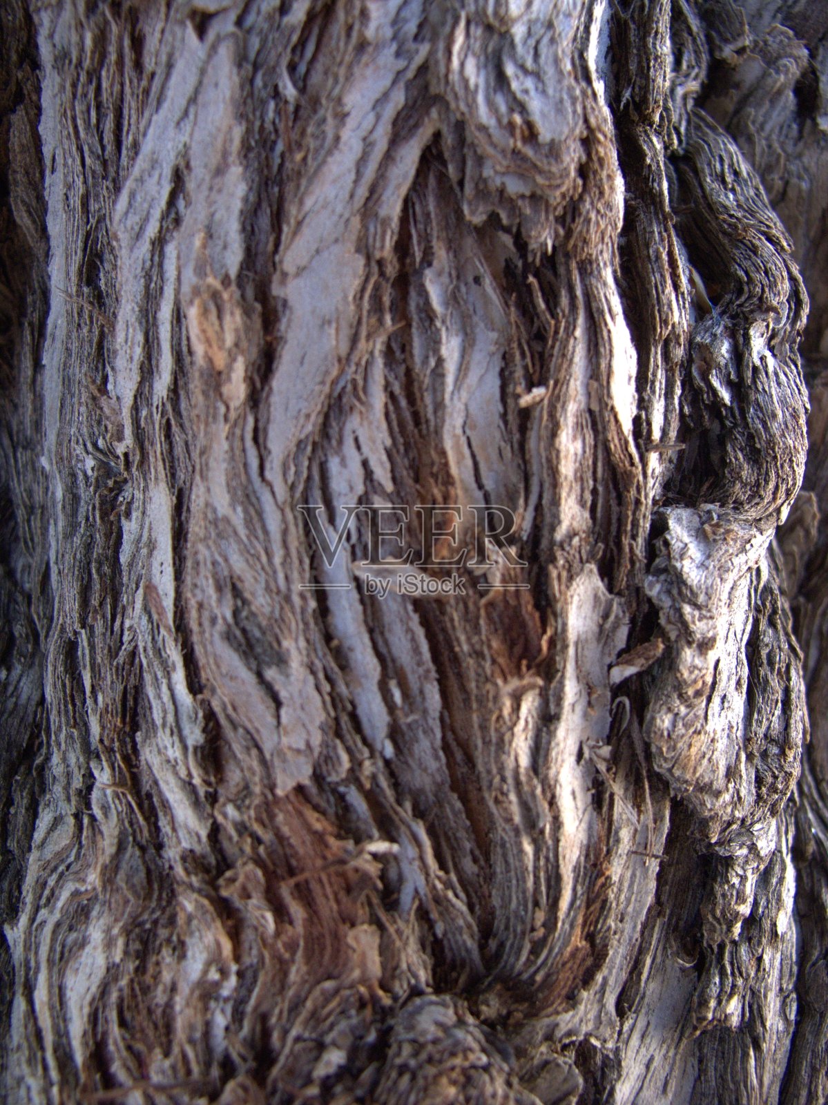 木材纹理照片摄影图片