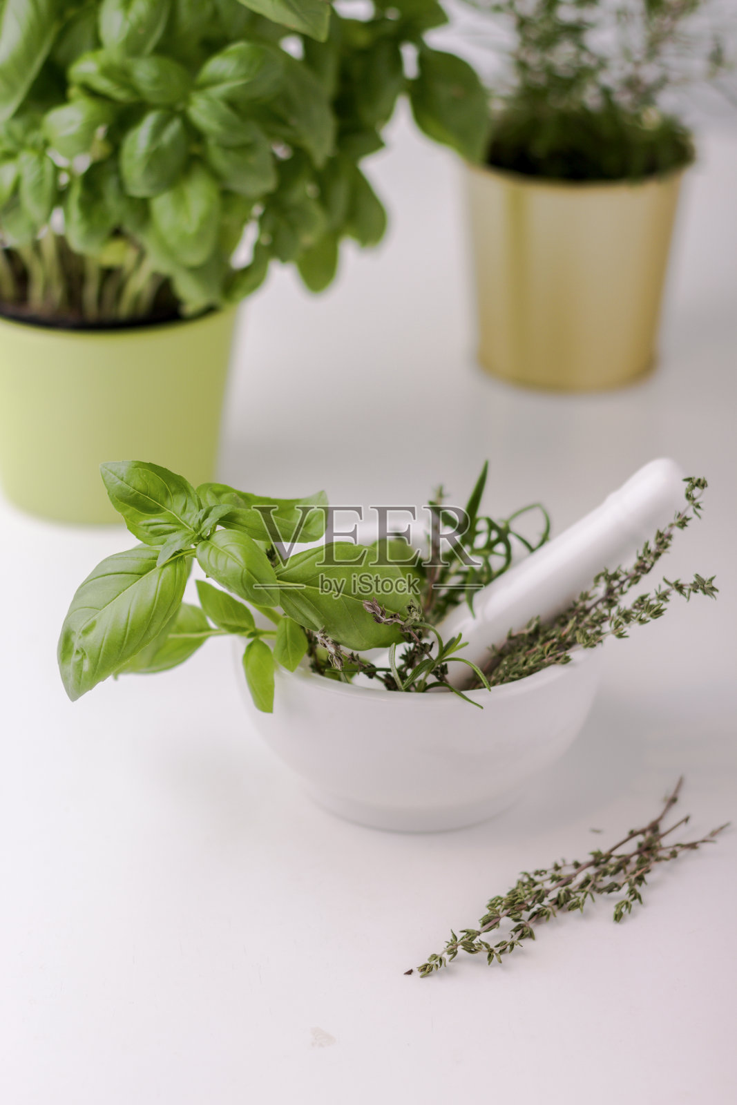 绿色的罗勒,百里香,牛至在白色陶瓷臼和杵照片摄影图片
