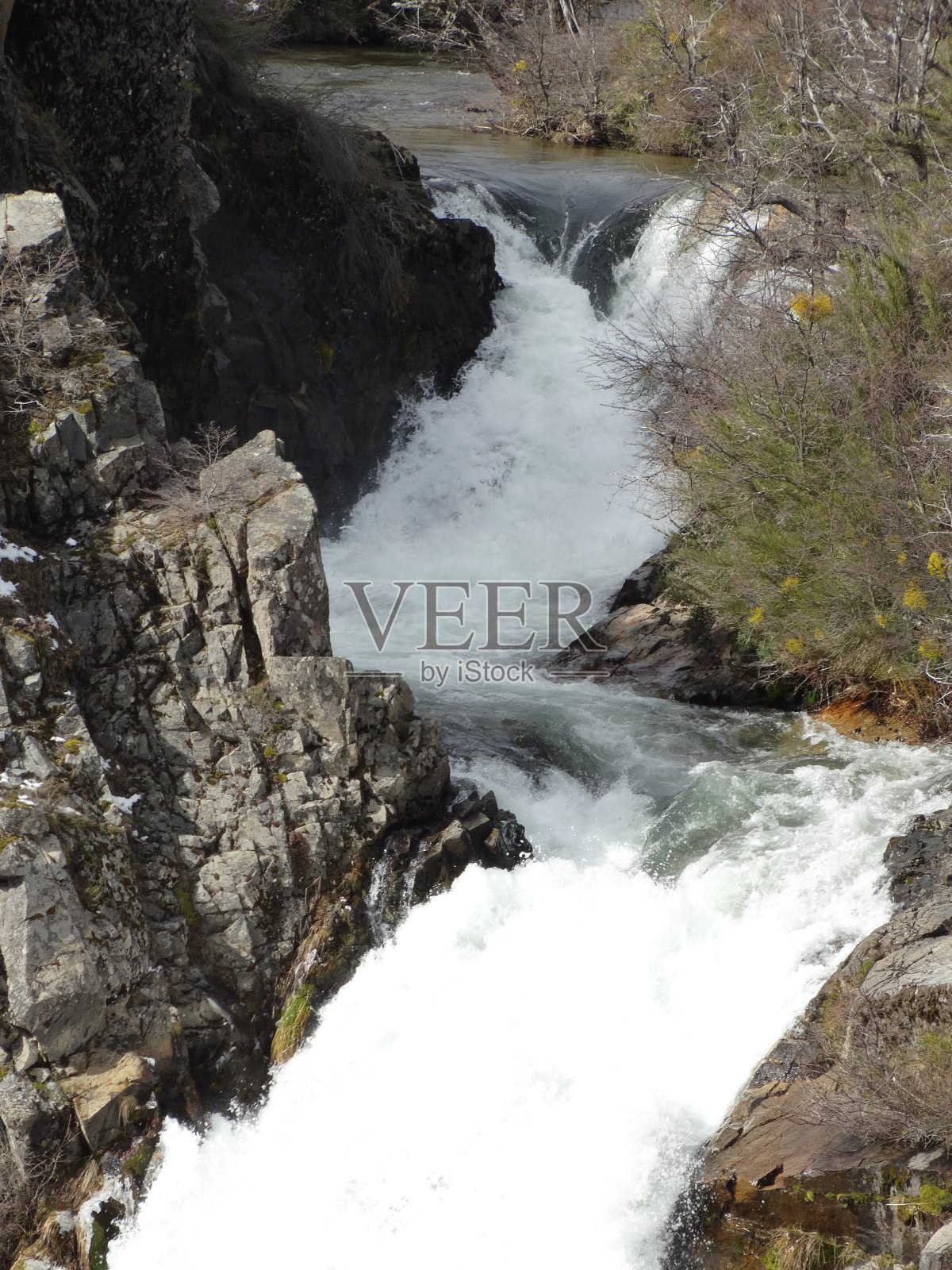 拉丁美洲,自然公园照片摄影图片