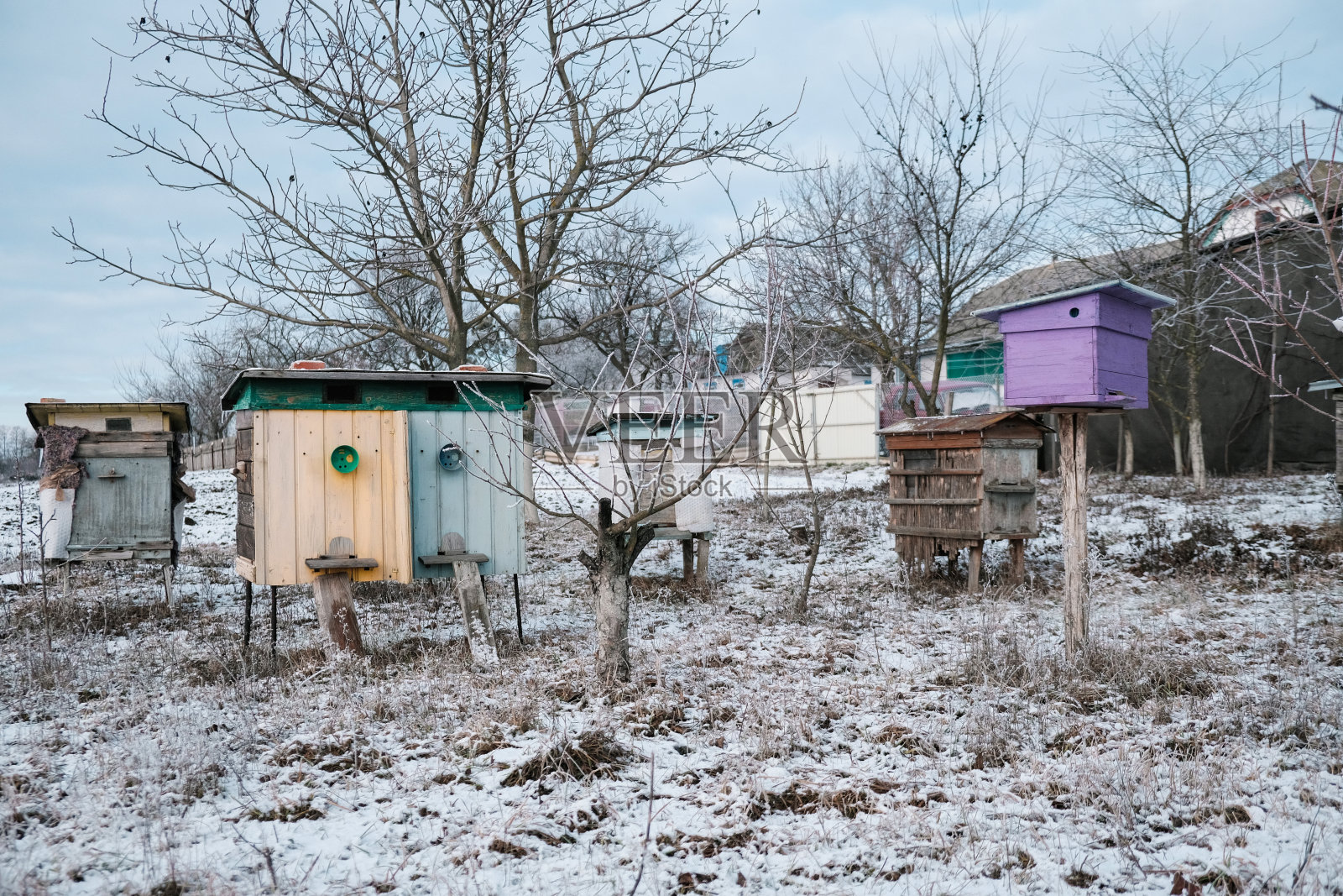 冬天,在寒冷的黎明日落,蜂房里的蜂箱被雪覆盖照片摄影图片
