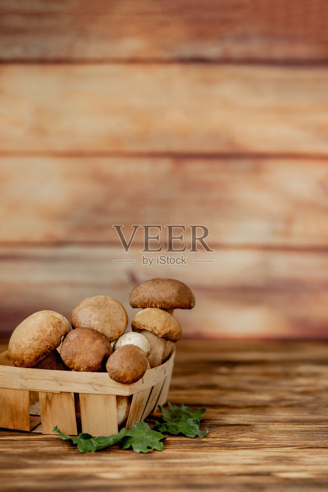 篮子食用蘑菇:牛肝菌和牛肝菌,乡村木质背景,选择性聚焦,色调图像照片摄影图片