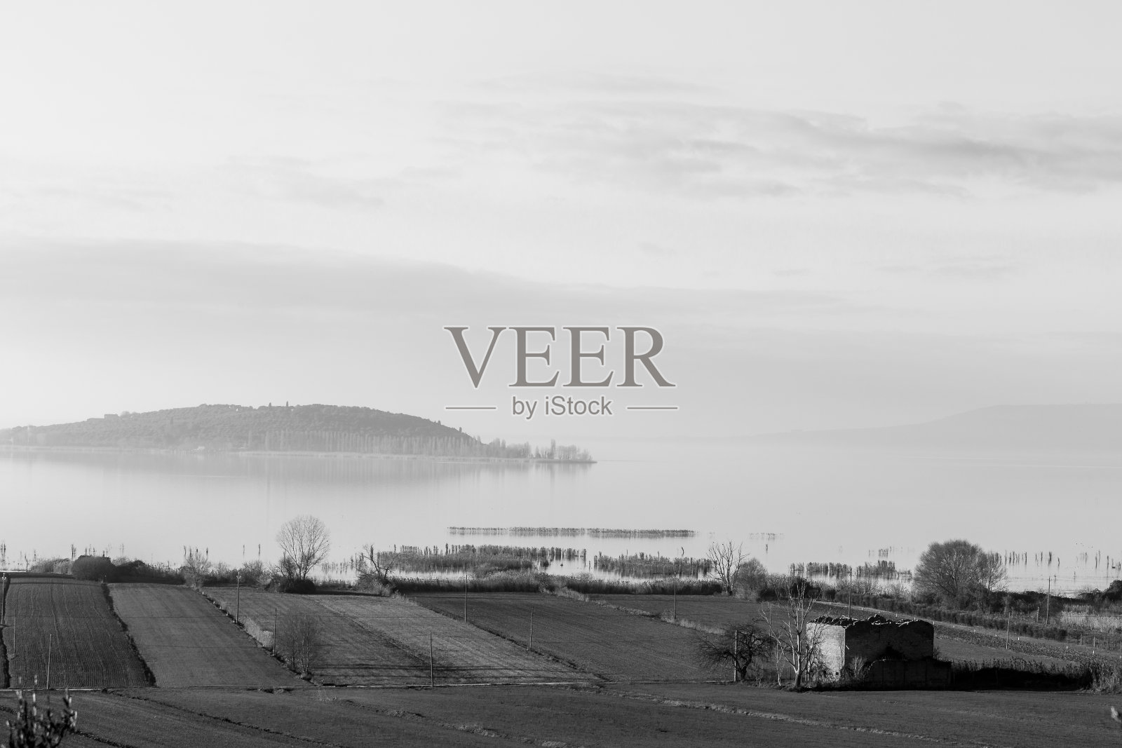 特拉西梅诺湖和Isola Polvese(翁布里亚,意大利)的景色,前景是薄雾和耕地照片摄影图片