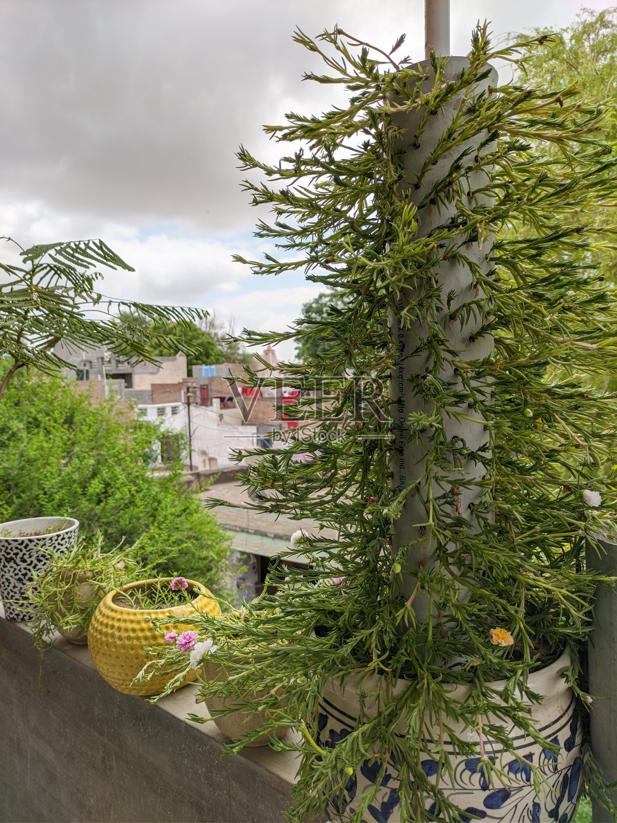 自然照片摄影图片