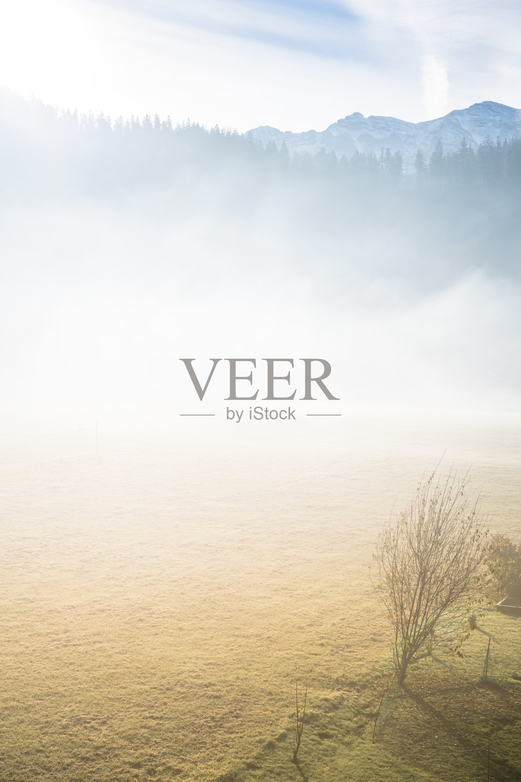 浓雾笼罩着高山照片摄影图片