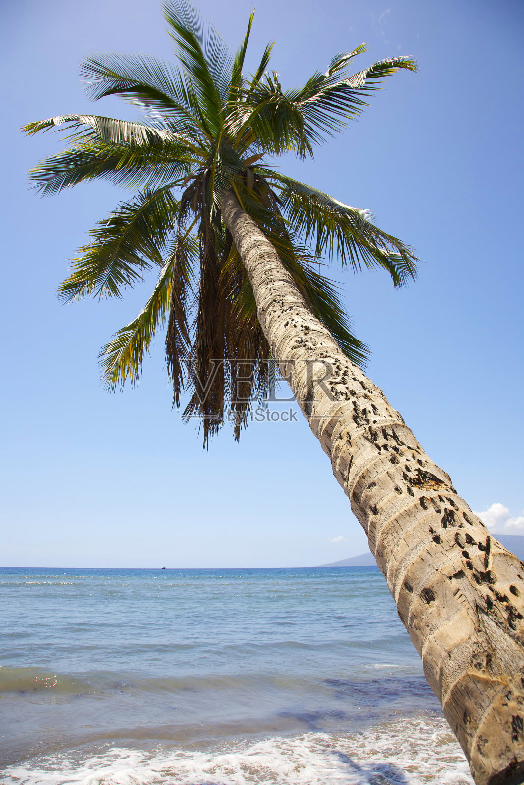 手掌与视野。照片摄影图片