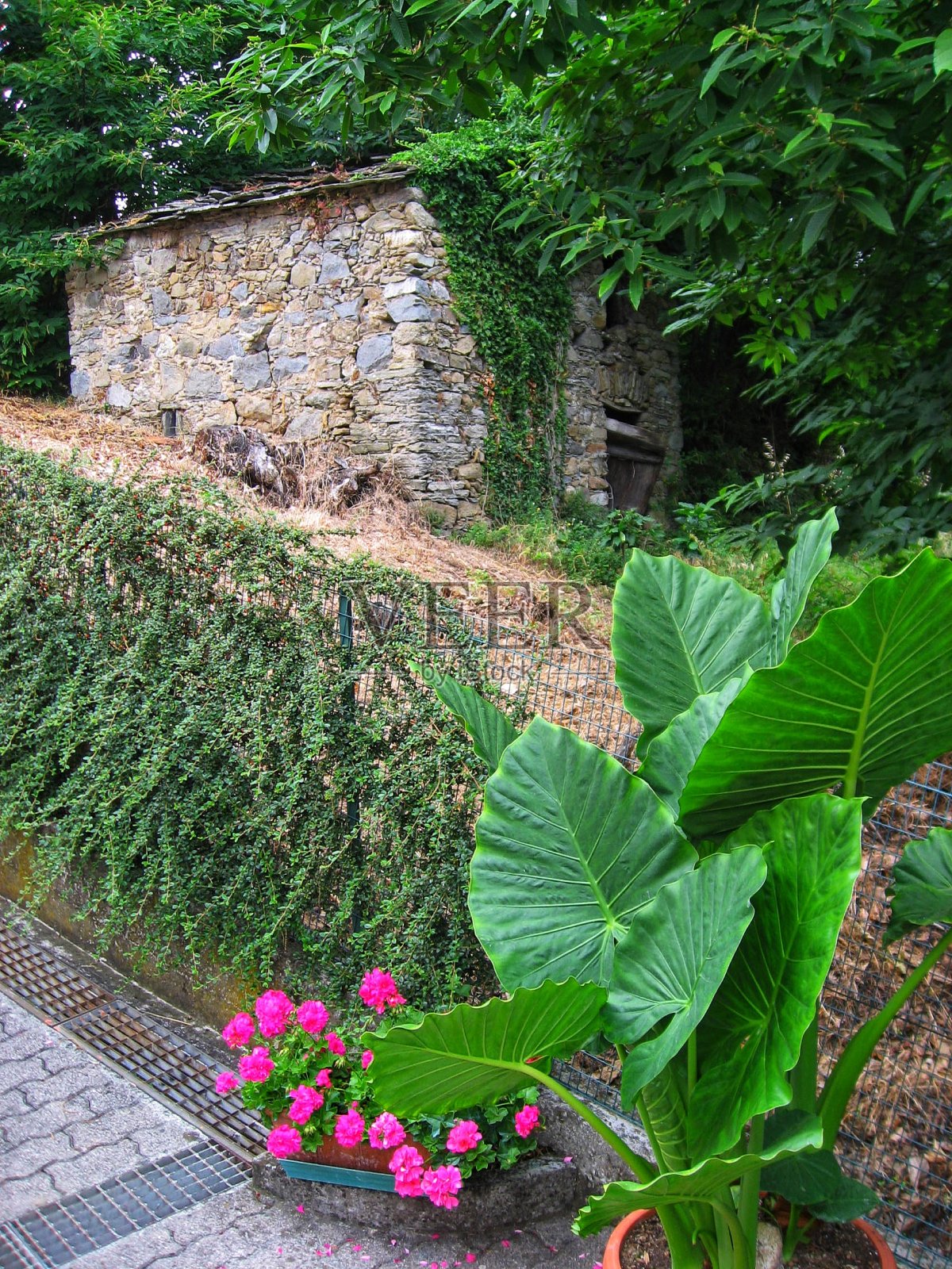 瓦尔多尼卡和马德里尼亚诺城堡。意大利照片摄影图片