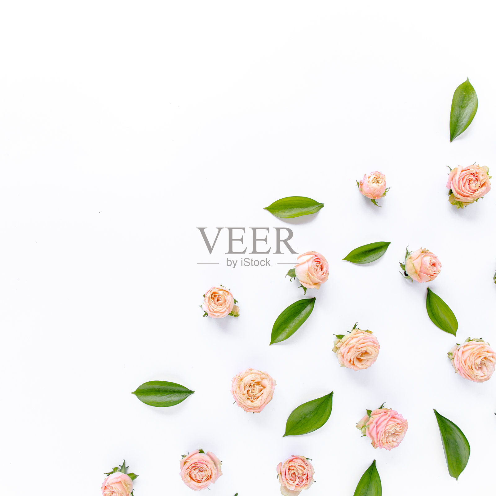 以粉红色玫瑰、绿叶、树枝为背景的花型图案。平躺,俯视图。情人节的背景。花卉图案。模式照片摄影图片