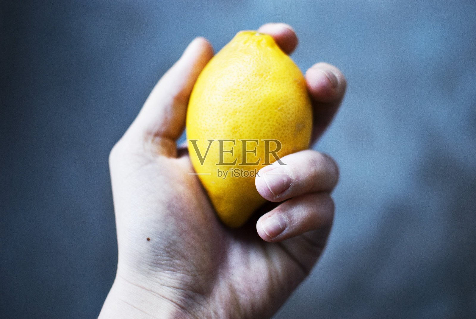 柠檬照片摄影图片